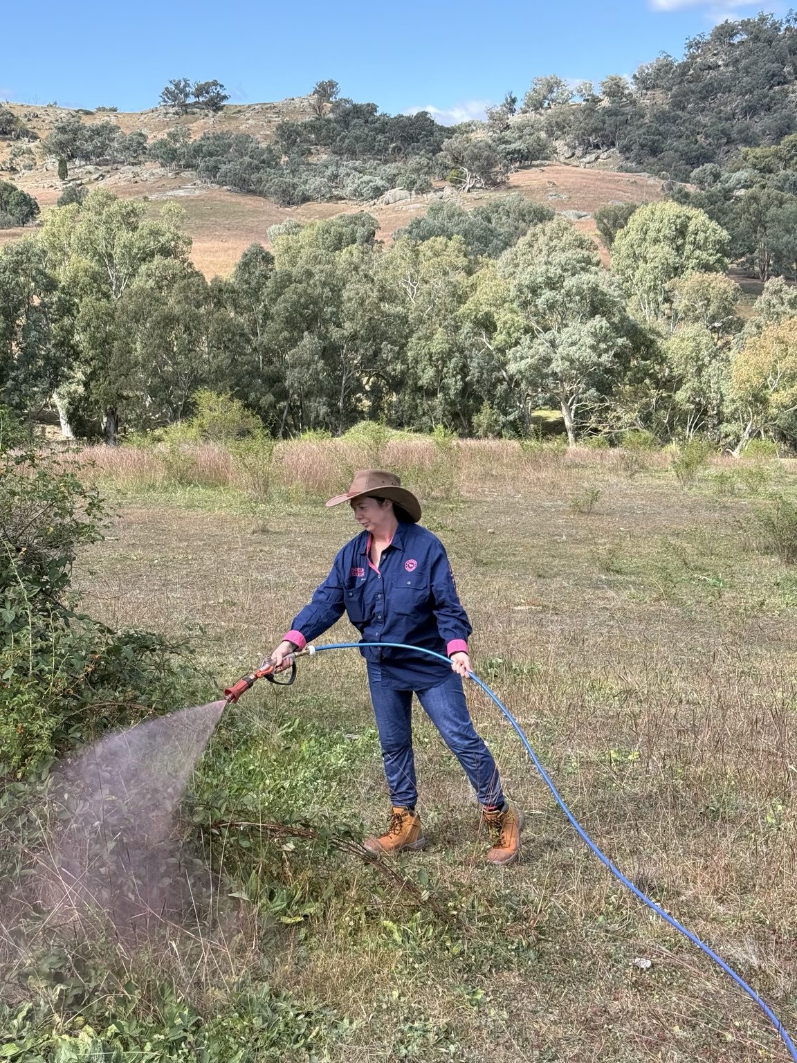 Operator spraying blackberry on rural hillside
